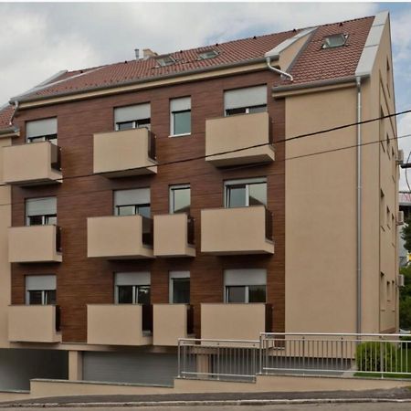 Modern 1 Bed Apartment, Near Shopping Mall Stadion Beograd Ngoại thất bức ảnh